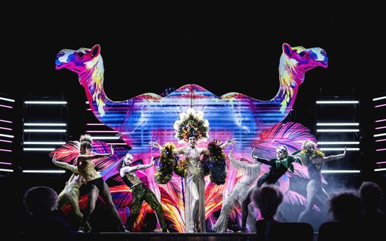 Opera Season Highlights 2025-26